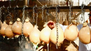Festa delle Tradizioni e della Gastronomia 