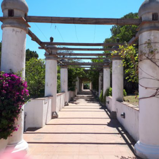 Visite guidate ai musei e al parco del complesso di Villa Arbusto