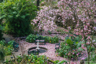 Apertura straordinaria per i Giardini la Mortella