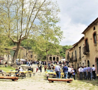 Festa dell’Asparago selvatico