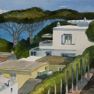 Capri revisited