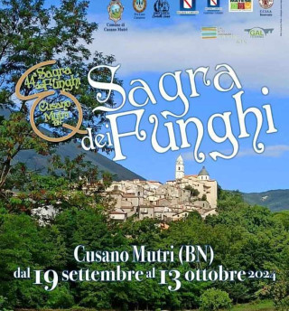 Sagra dei Funghi