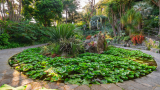 Giardini La Mortella, Ischia: da martedì 1 aprile al via la stagione 2025. Da sabato 5 tornano anche gli Incontri Musicali di Primavera, flauto e pianoforte per il concerto inaugurale.