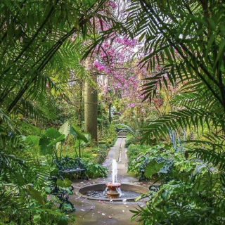 Giardini la Mortella, Ischia: Nel weekend concerto del Duo Testa-Navelli