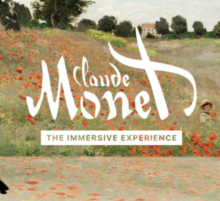 The Immersive Experience